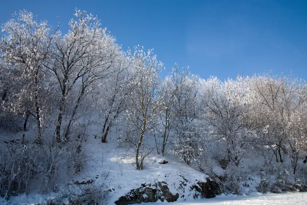 Zimowy pejzaż nad rzeką — Zdjęcie stockowe