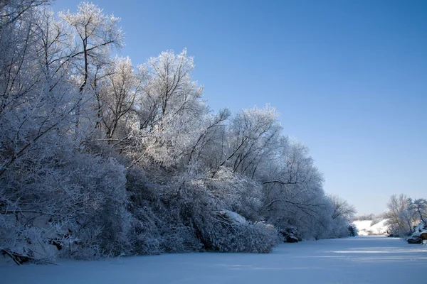 Kış Masalı Nehri Üzerinde Rime Ile Kaplı Ağaçlar — Stok fotoğraf