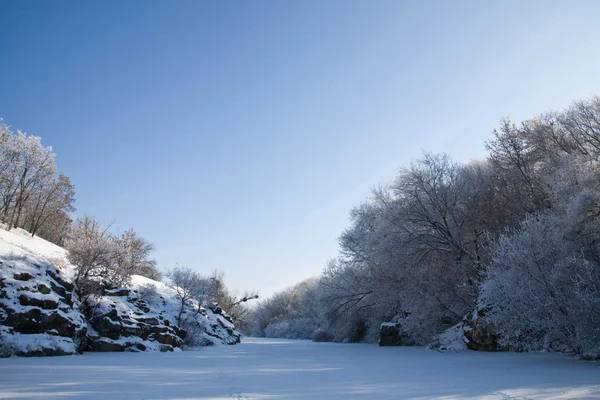 川の冬の物語 霜に覆われた木 — ストック写真