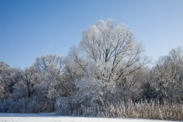 Χειμερινό τοπίο στις όχθες του ποταμού — Φωτογραφία Αρχείου