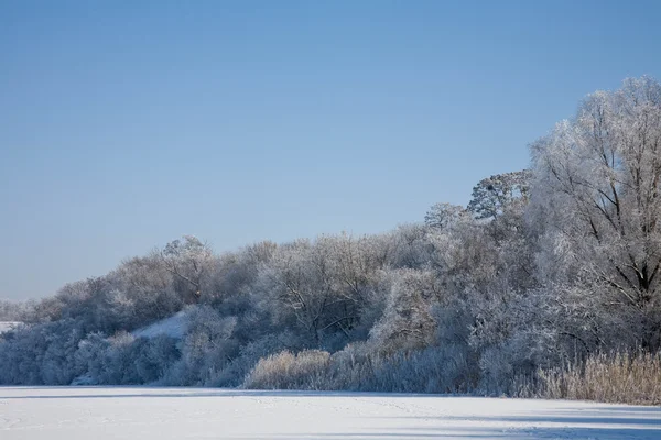 Χειμωνιάτικο Παραμύθι Στις Όχθες Του Ποταμού Δέντρα Καλυμμένα Την Πάχνη — Φωτογραφία Αρχείου