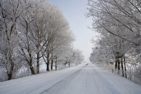 Winter road Stock Image