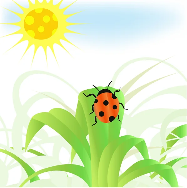 stock image Ladybug. Conceptual illustration