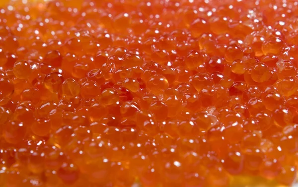 Caviar rojo en plato de vidrio — Foto de Stock