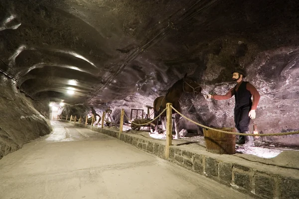 Mine de sel de Wieliczka Images De Stock Libres De Droits