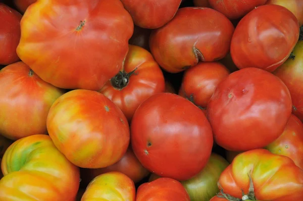 stock image Red tomatoes