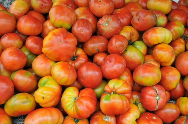 stock image Red tomatoes