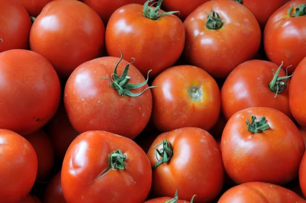 stock image Red tomatoes