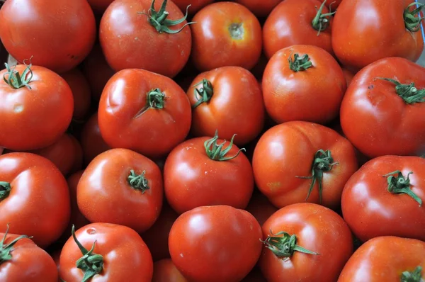 stock image Red tomatoes