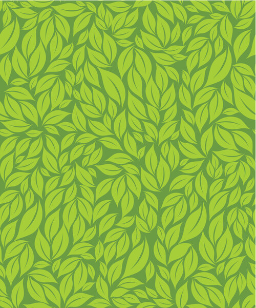 зеленые листья фона