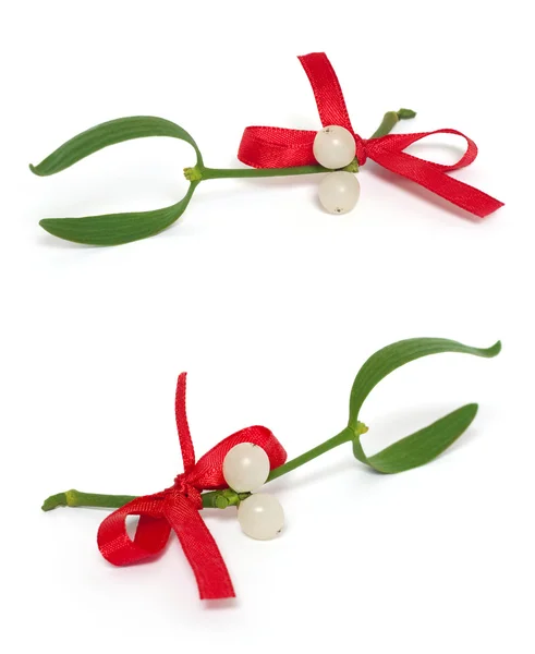 White mistletoe set — Stock Photo, Image