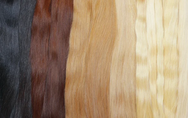 Коллекция Светлых Коричневых Черных Светлых Волос — стоковое фото