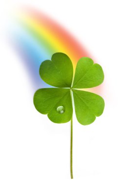 Shamrock and rainbow clipart