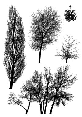 Silhouettes of trees vector clipart