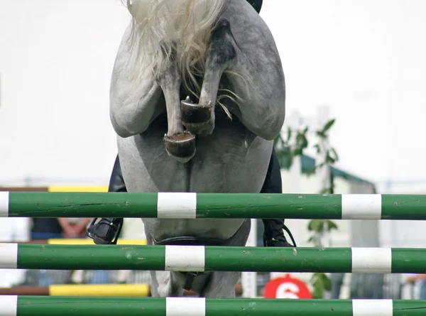 Die Rückseite Eines Pferdes Das Über Einen Zaun Springt — Stockfoto