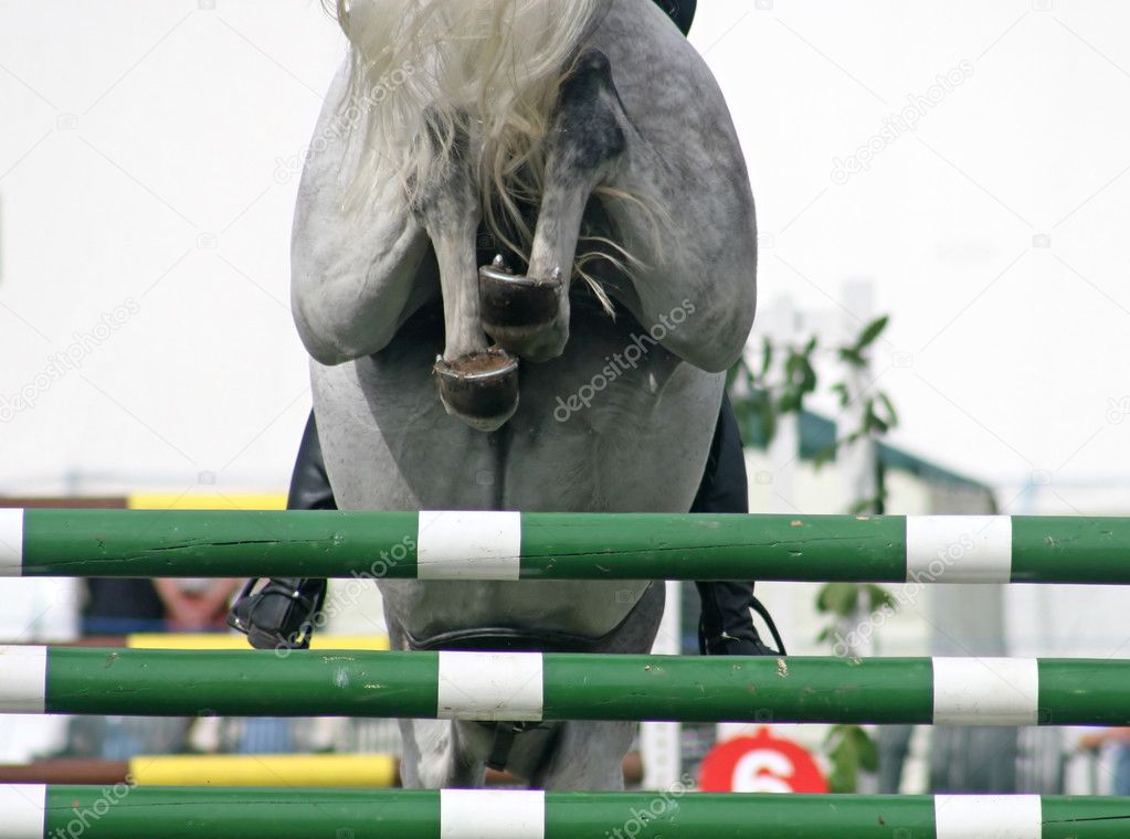 The backside of a horse jumping over a fence