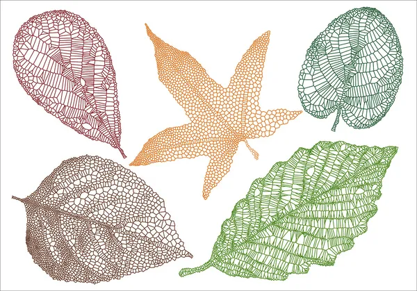 Textured autumn leaves, vector — Stock Vector
