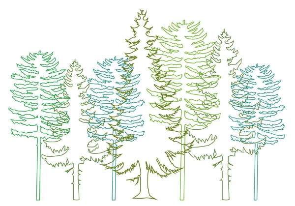 Fir trees, vector — Stock Vector