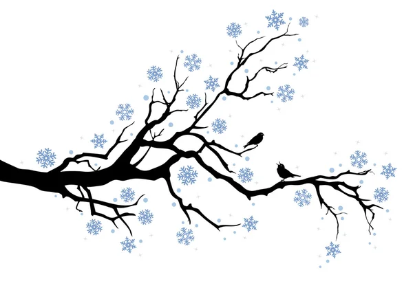 Rama de árbol de invierno — Vector de stock
