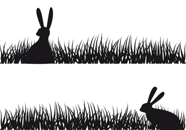 Otların arasında tavşan, vektör — Stok Vektör