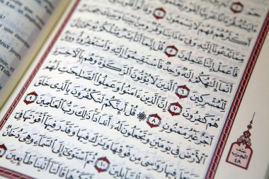 Holly İslami kitap