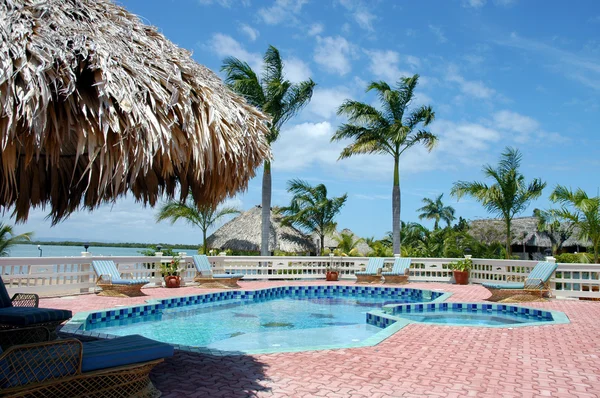 stock image Swimming pool and palm trees