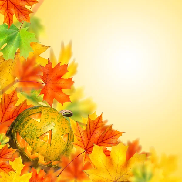 Calabaza de Halloween con hojas de otoño aisladas —  Fotos de Stock