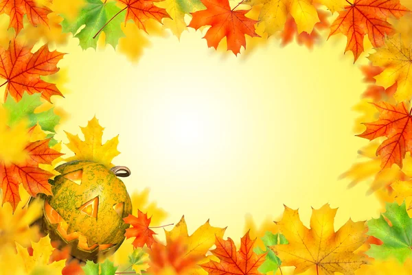 秋とハロウィーン カボチャ葉分離 — ストック写真