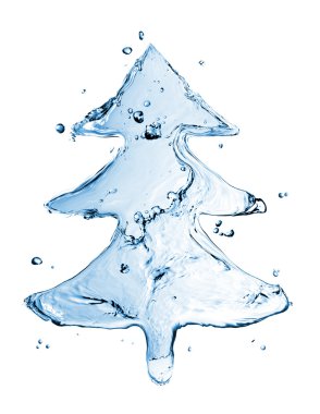 Fir tree from water splash isolated on white clipart