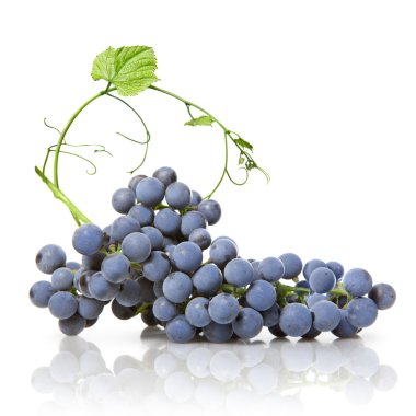 Blue grape with green leaf isolated on white clipart