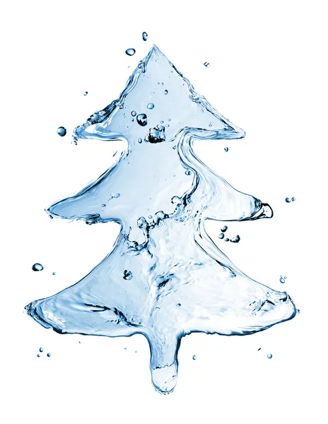 Fir tree from water splash isolated on white — Stock Photo, Image