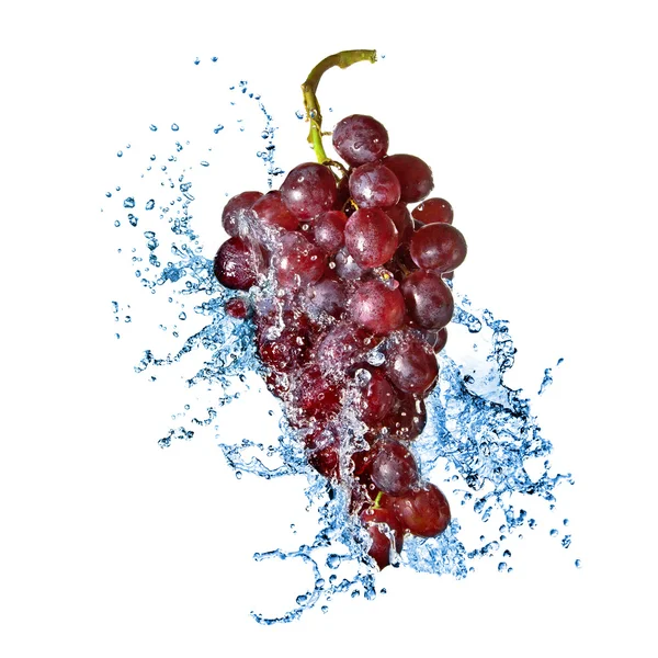 Blue grape with water splash isolated on white — Stock Photo, Image