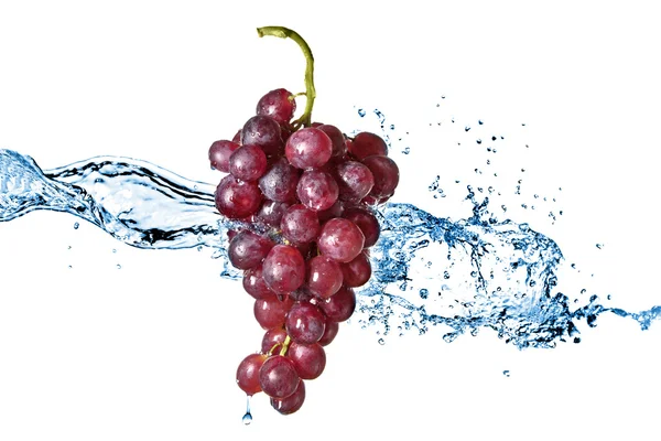 Blue grape with water splash isolated on white — Stock Photo, Image