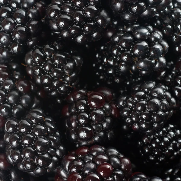 Tło z blackberry — Zdjęcie stockowe