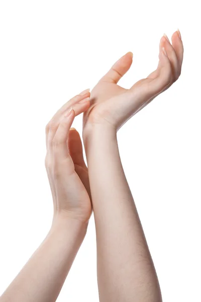 Figura de mãos femininas isoladas em branco — Fotografia de Stock