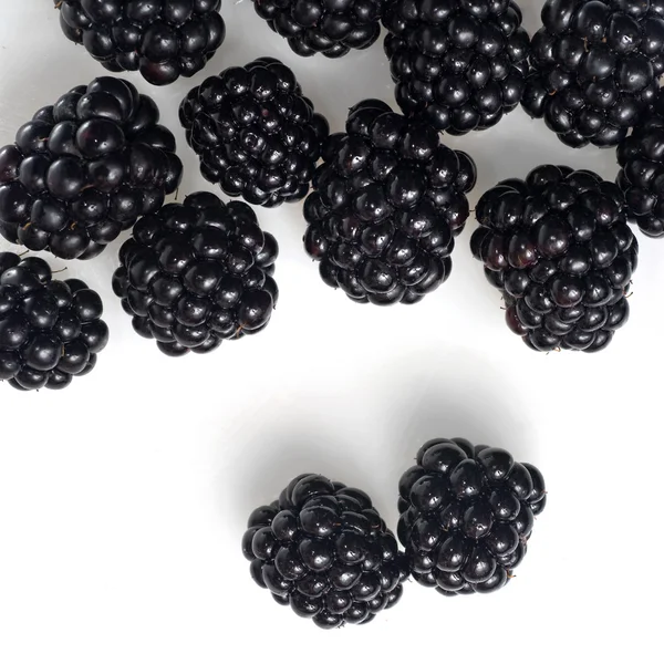 在白色上隔离的黑莓 — 图库照片