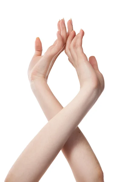 Figura de mãos femininas isoladas em branco — Fotografia de Stock