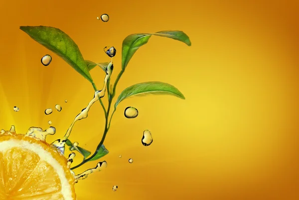 Waterdruppels op citroen met groene bladeren op geel — Stockfoto