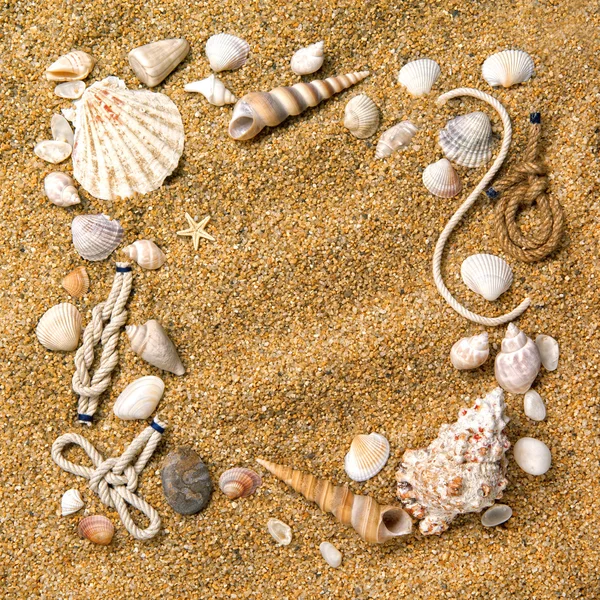 Ram från olika skal på sand — Stockfoto