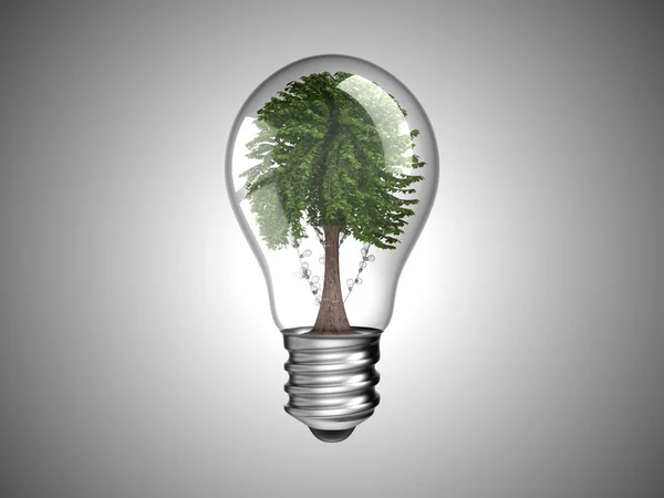 Glödlampa med gröna träd inuti — Stockfoto