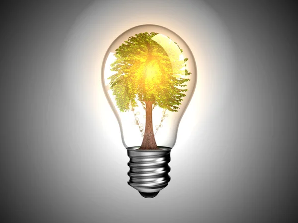 Лампочка с деревом внутри и светом — стоковое фото