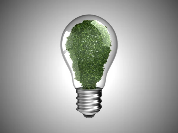 Energia renovável. Lâmpada com planta verde — Fotografia de Stock