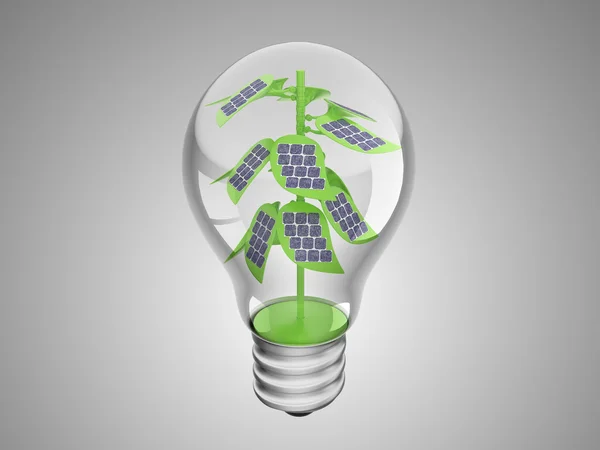 绿色的植物在灯泡内的太阳能电池单元格 — 图库照片