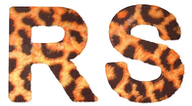 Leopard fur R and S letters isolated clipart