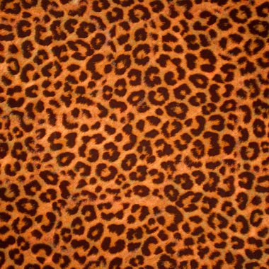 Leopard skin background or texture clipart