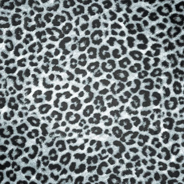 BW leopard huid achtergrond of textuur — Stockfoto