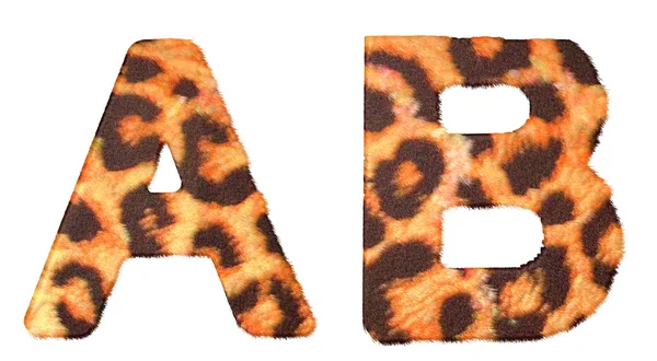 豹子毛皮和孤立的 b 字母 — 图库照片