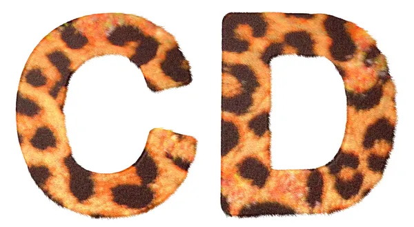 豹子毛皮孤立的 c 和 d 字母 — 图库照片