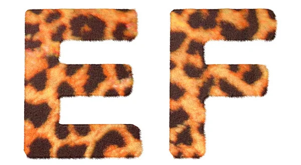 Stock image Leopard fur E and F letters isolated