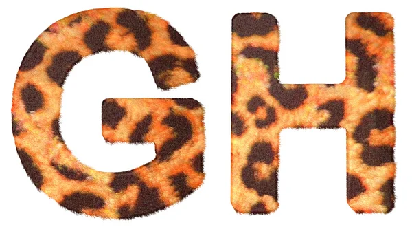 Leopardo pele G e H letras isoladas — Fotografia de Stock